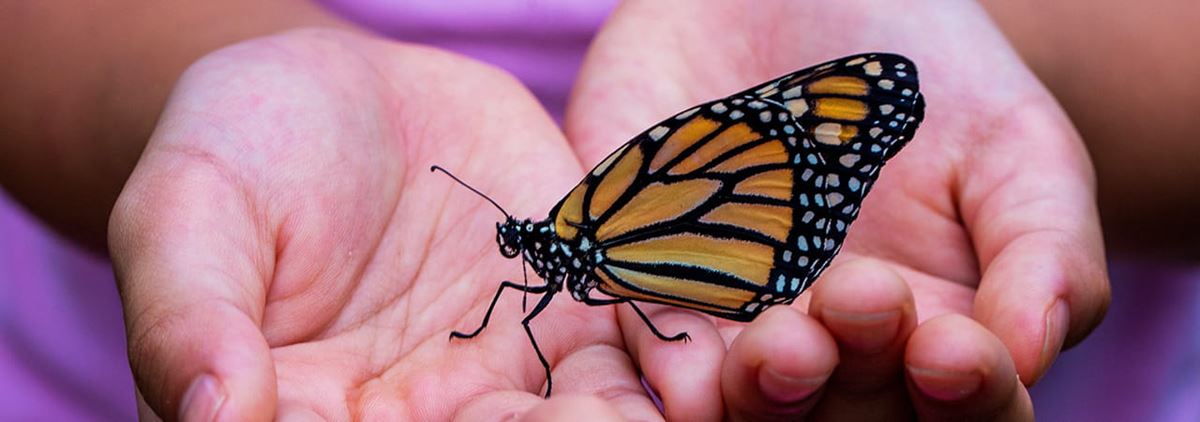 Putting power into girls' palms: a story about strength in small things ...